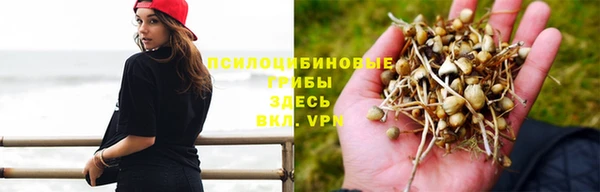 круглые Белокуриха