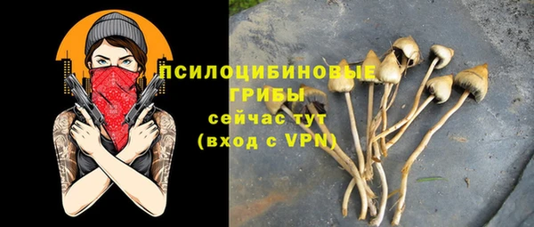 мескалин Богородицк