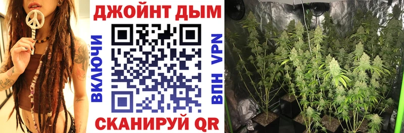 МАРИХУАНА семена  наркота  Магас 